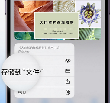 邳州apple维修中心分享iPhone文件应用中存储和找到下载文件