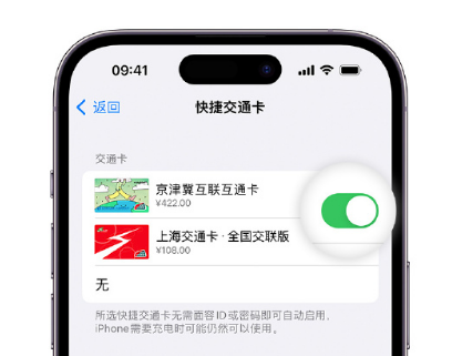 邳州apple维修点分享iPhone上更换Apple Pay快捷交通卡手绘卡面 