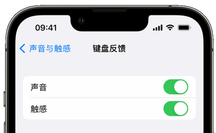 邳州苹果手机维修分享iPhone 14触感键盘使用方法 