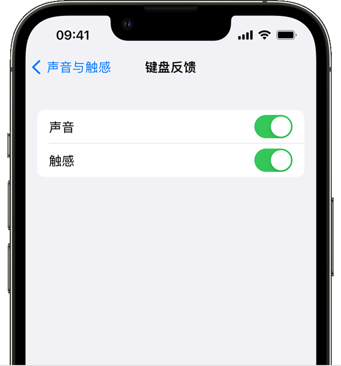 邳州苹果14维修店分享如何在 iPhone 14 机型中使用触感键盘 