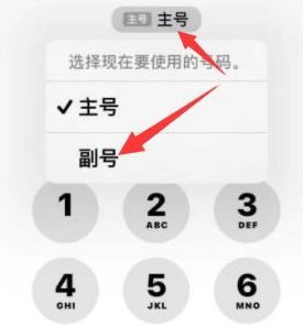 邳州苹果14维修店分享iPhone 14 Pro Max使用副卡打电话的方法 