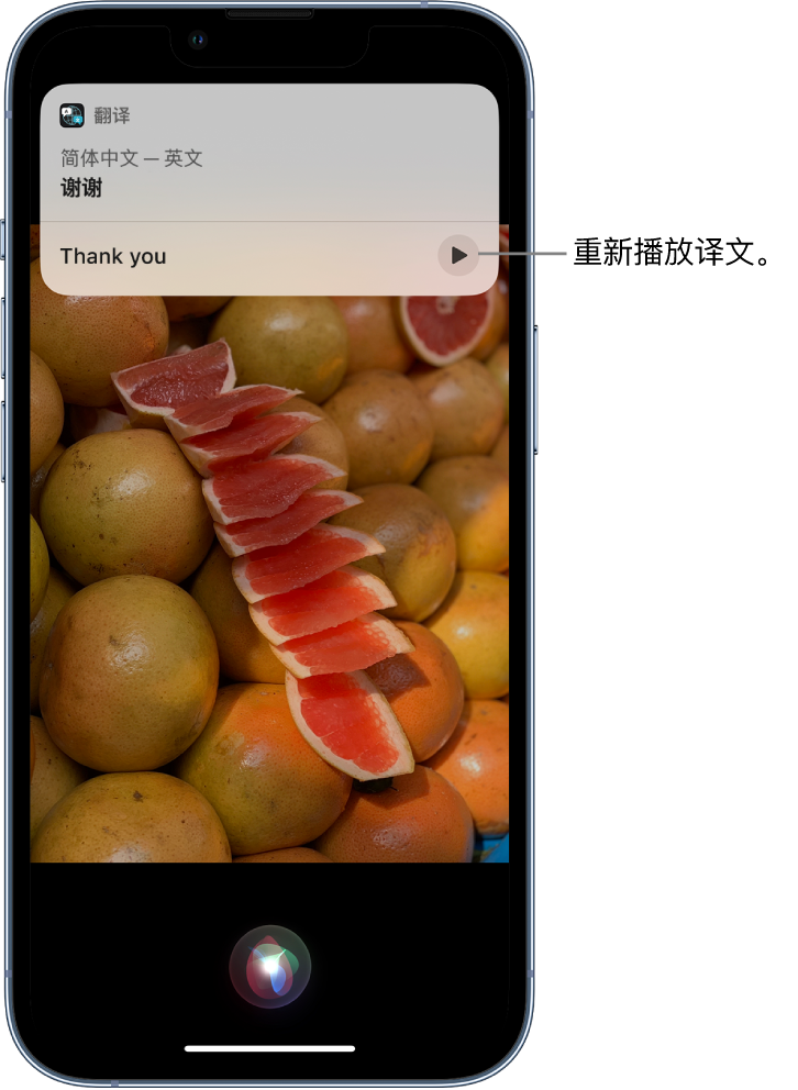 邳州苹果14维修分享 iPhone 14 机型中使用 Siri：了解 Siri 能帮你做什么 