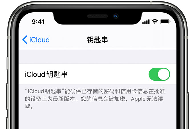 邳州苹果手机维修分享在 iPhone 上开启 iCloud 钥匙串之后会储存哪些信息 