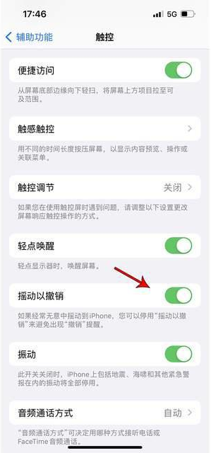 邳州苹果手机维修分享iPhone手机如何设置摇一摇删除文字 